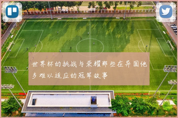 世界杯的挑战与荣耀那些在异国他乡难以适应的冠军故事